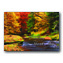 Splashes Of Color Thanksgiving Cards